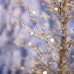 Albero di Natale ghiacciato illuminato